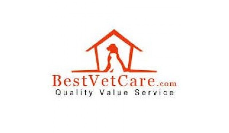 Best Vet Care 